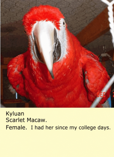 ChatGPT Image Apr 27, 2026, 03_11_58 AM